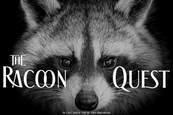 Choosing The Racoon Quest Font for a Standout Campaign